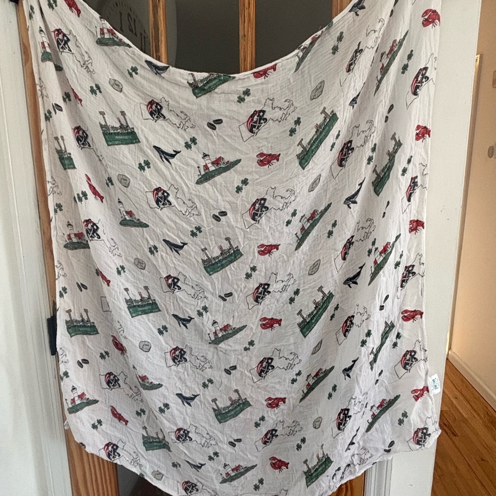 Baby Swaddle Massachusetts themed